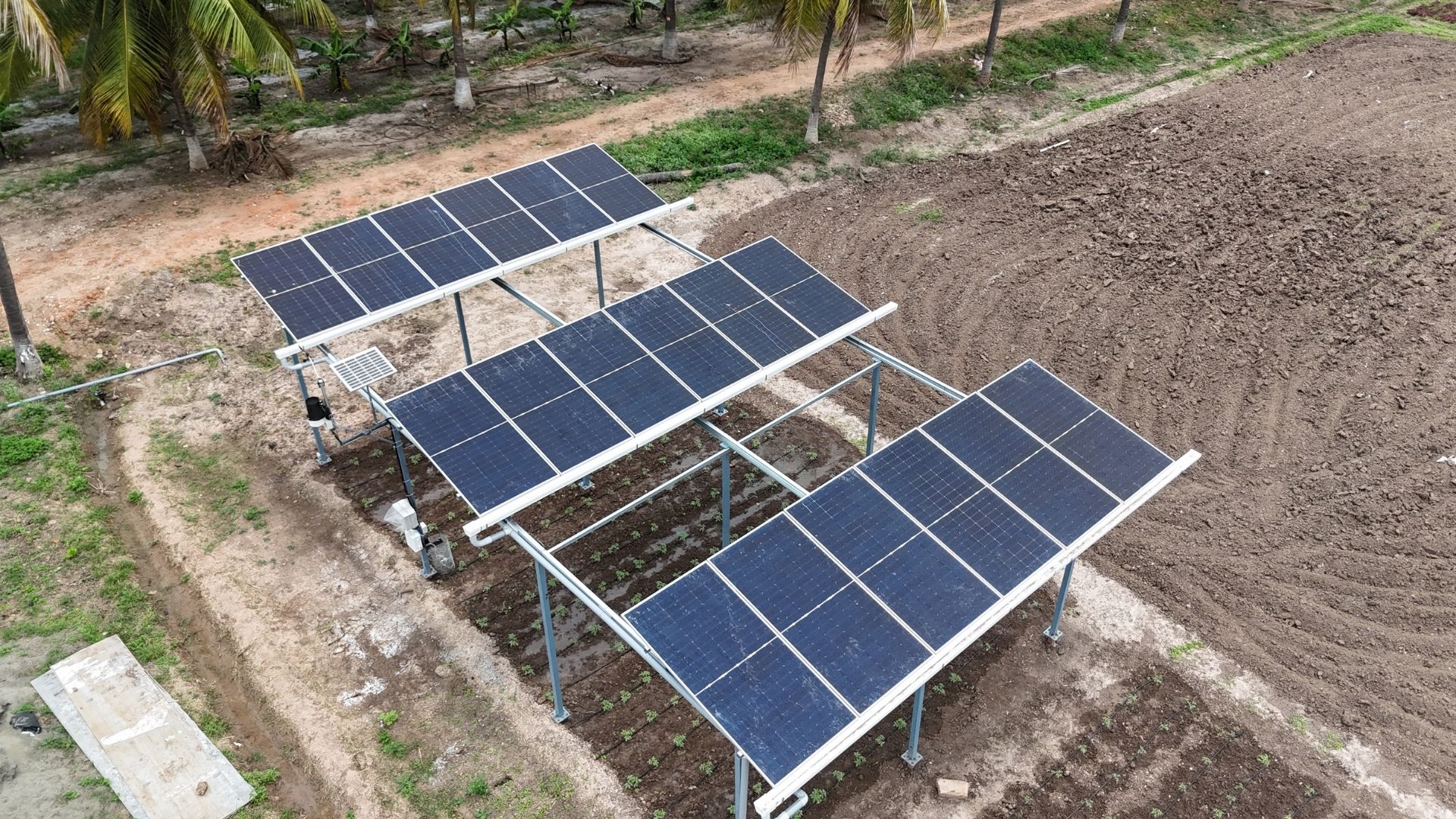 Agrovoltaic Solar Pumping System (5)